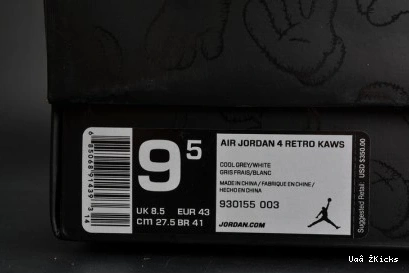 Bright 560 x Air 279 KAWS Jordan 0810